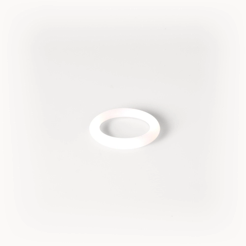 ROK o-ring